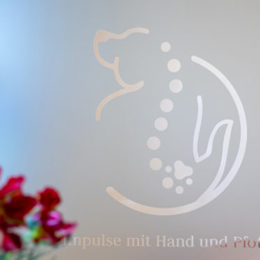 Impulse mit Hand und Pfote