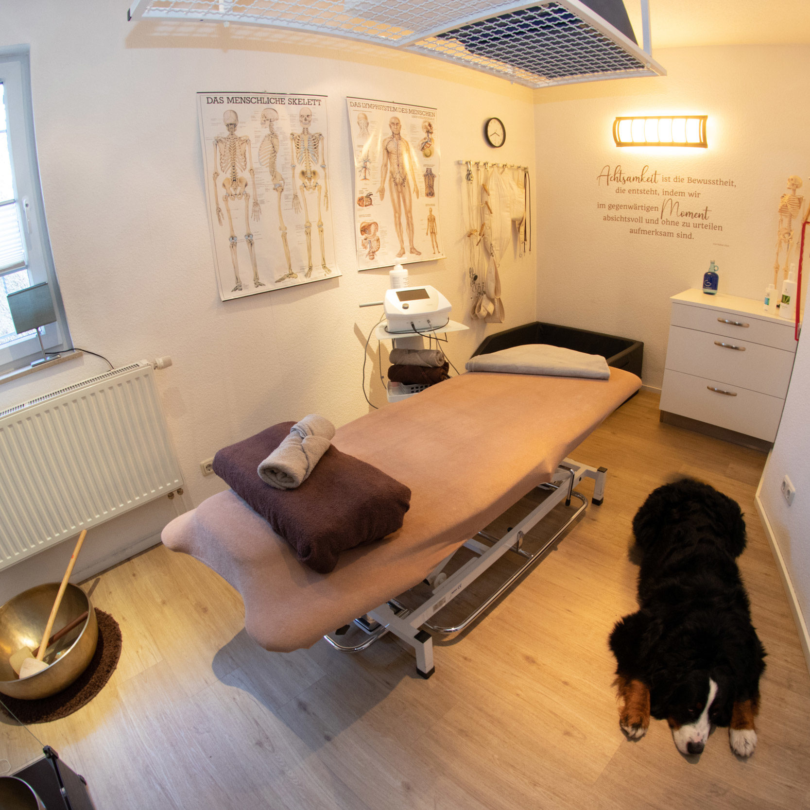 Hundephysiotherapie Physiotherapie Rico Junghans Aue Bad Schlema