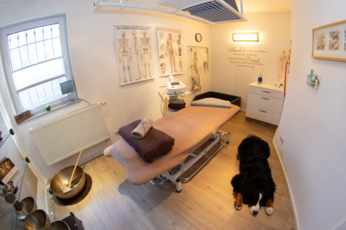Hundephysiotherapie Physiotherapie Rico Junghans Aue Bad Schlema