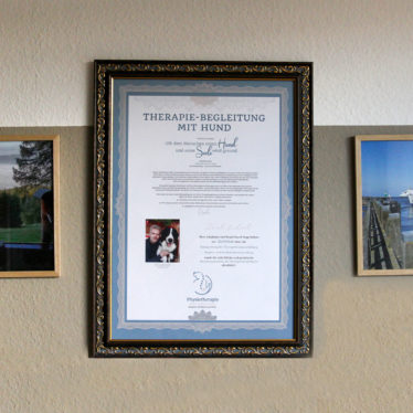 Therapie-Begleitung mit Hund Rico Junghans Aue Bad Schlema